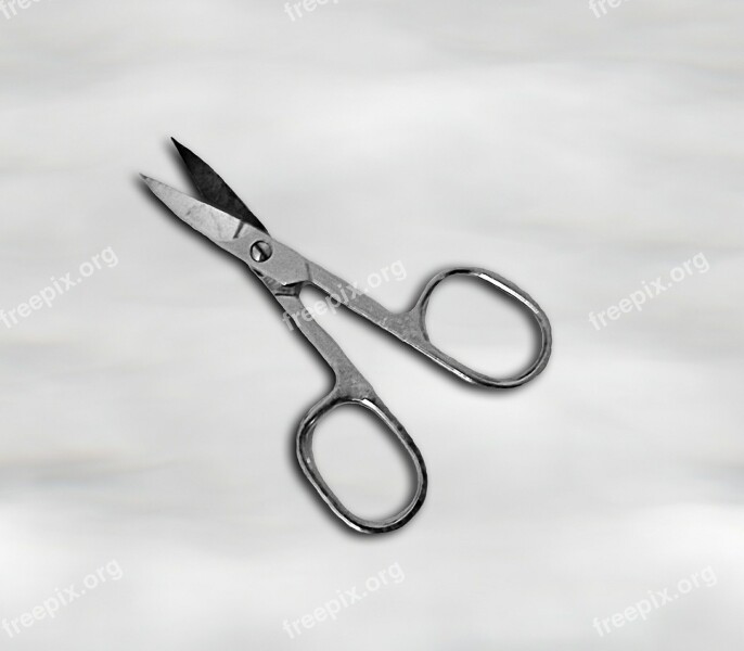 Nail Scissors Scissors Tool Metal Cut