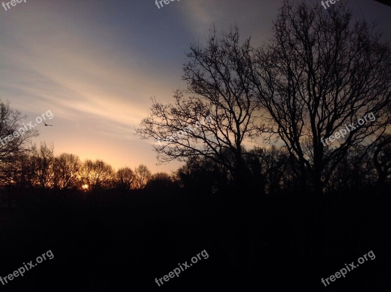 Morgenstimmung Skies Trees Silhouettes Aesthetic