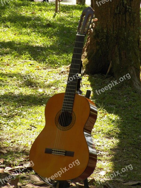 Guitar Music Musical Instruments Free Photos