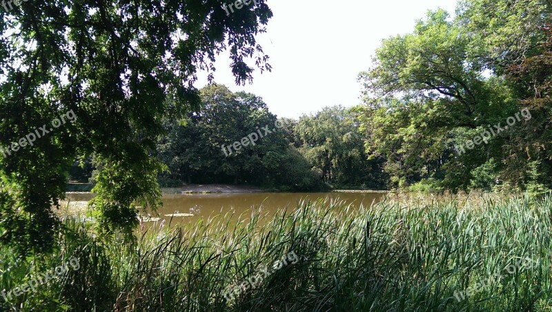 Leipzig Pond Germany Park Green