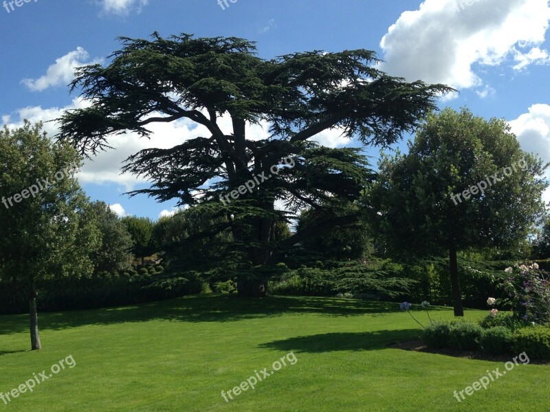 Tree Garden Lebanon Free Photos