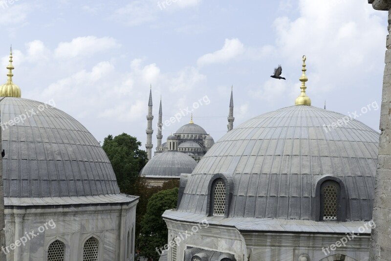 Santa Sofia Istanbul Roofs Domes Free Photos