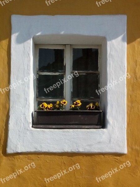 Window Flowers Old Flower Box Free Photos