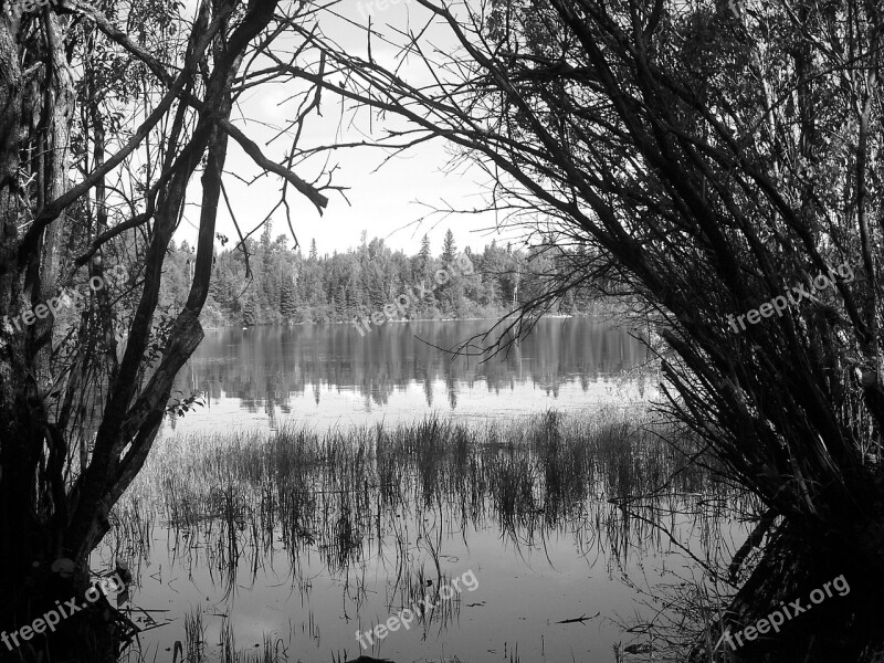 Lake Scene Nature Water Tranquil