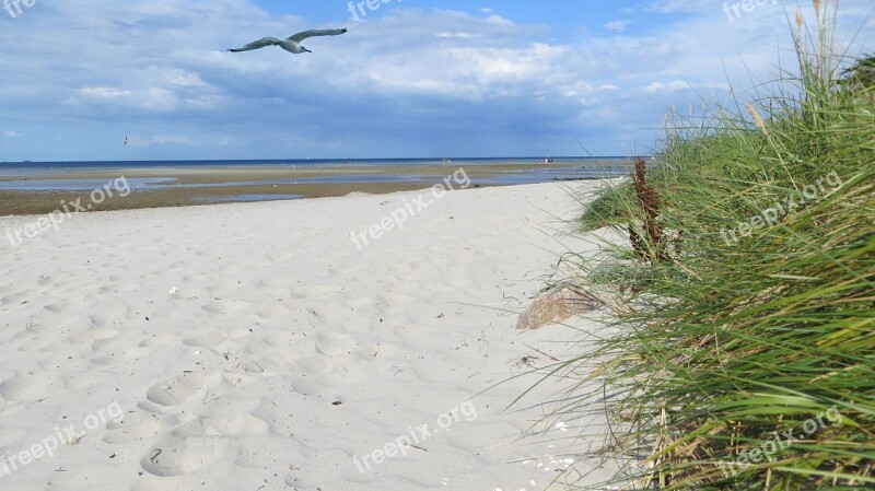 Coast Sand Vacations Beautiful Baltic Sea