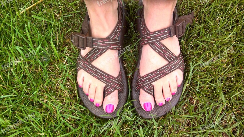 Nail Polish Nails Pink Feet Toes