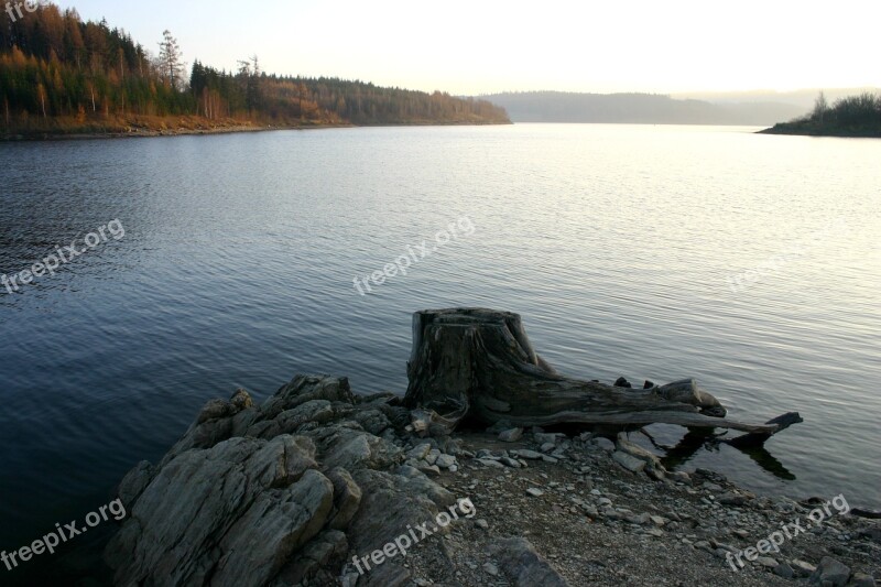 Dam Lake Stump Slezská Harta Free Photos