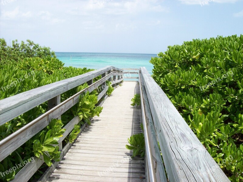 Bridge Wood Way Beach Ocean