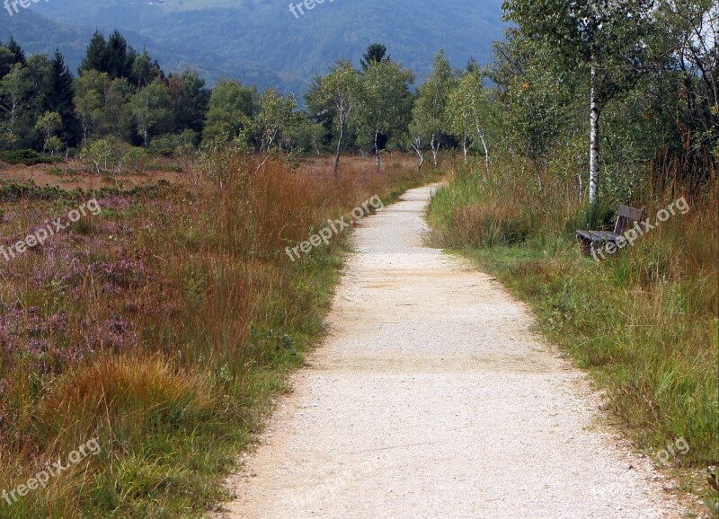 Away Nature Heide Trail Promenade