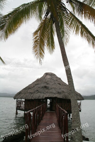 Island Cabin Caribbean Palm Tree Free Photos