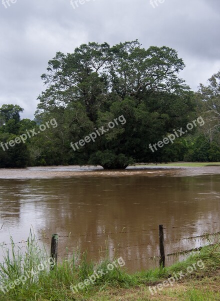 Flood Water River Danger Trees