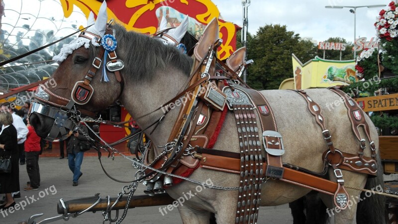 Brewery Horse Kaltblut Horse Draft Horse Workhorse