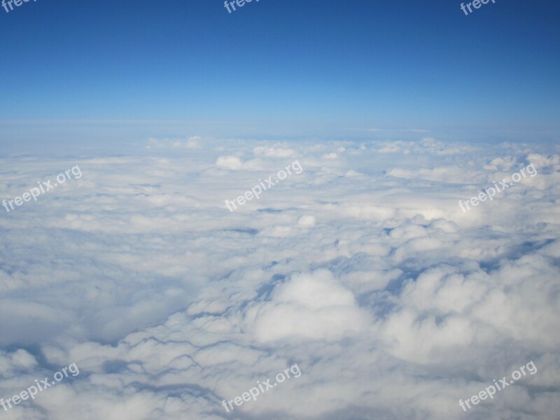 Clouds Sky Above The Clouds Selva Marine Clouds Animals