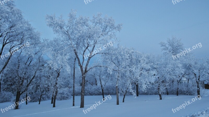 Blue Snow Frost Winter Light