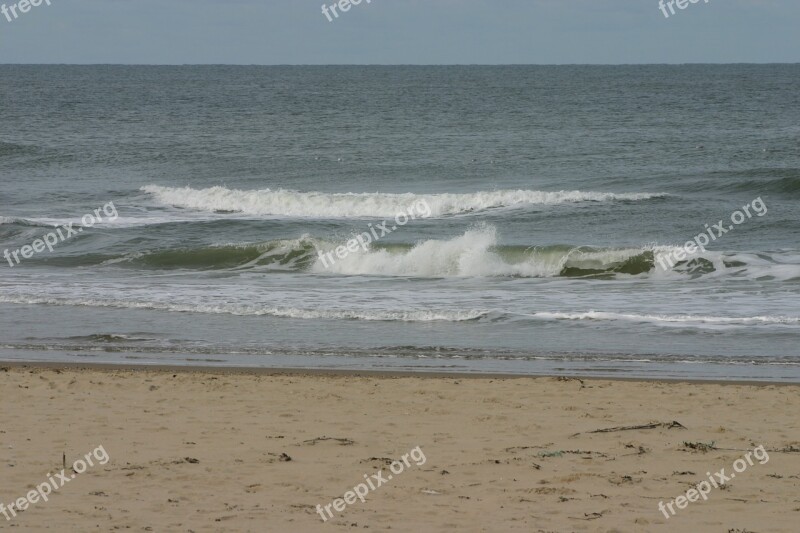 Texel Island Beach Sea Sand