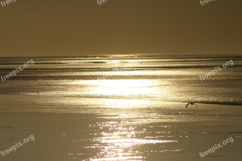 Sea Ameland Beach View Island