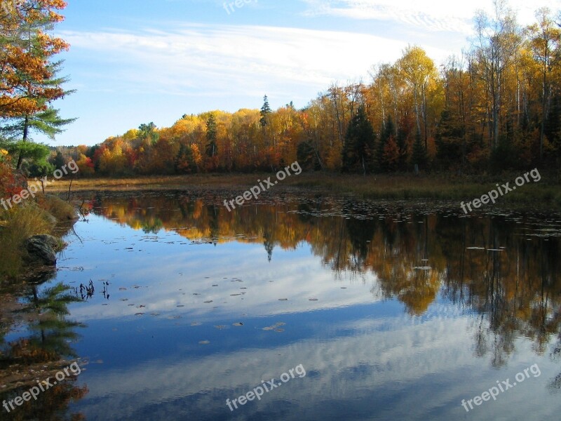 Lake Fall Colors Reflection Forest