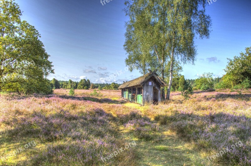 Hut Lüneburg Heath Nature Heide Heather