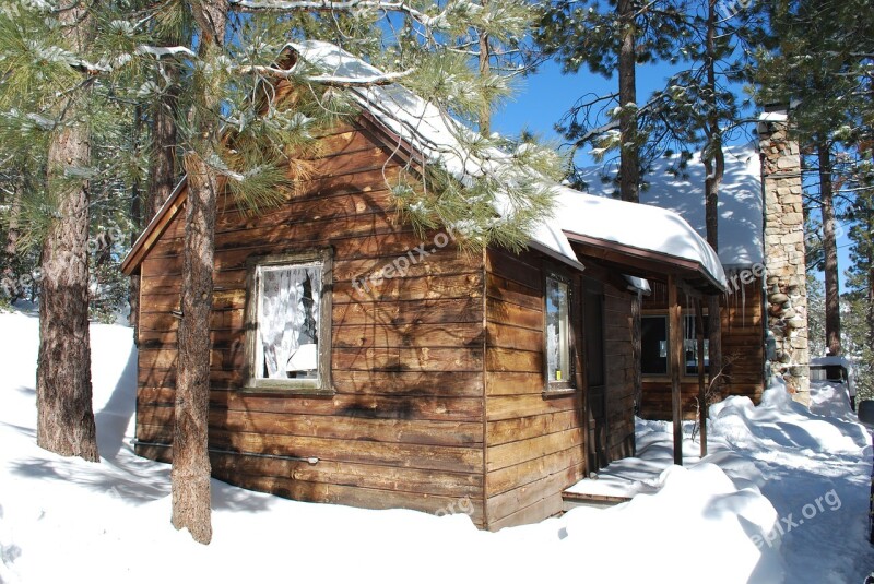 Log Cabin Solitude Cabin Forest Tranquil