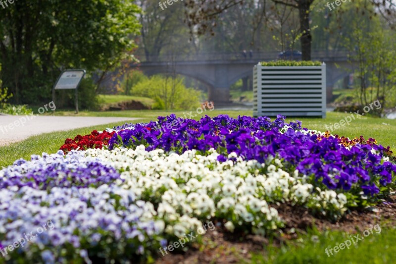 Flowers Flower Bed Spring Garden Park