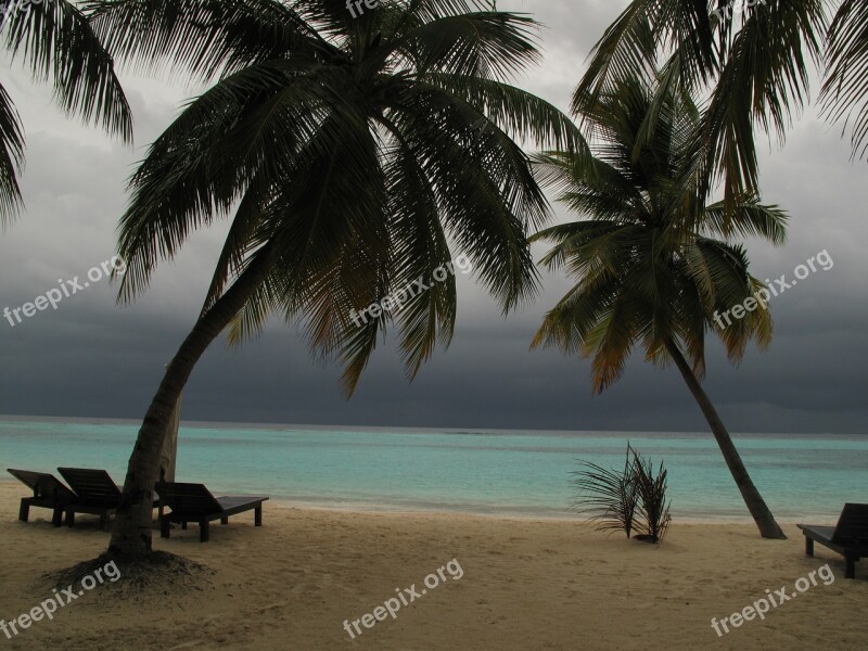 Maldives Palms Beach Sand Sea