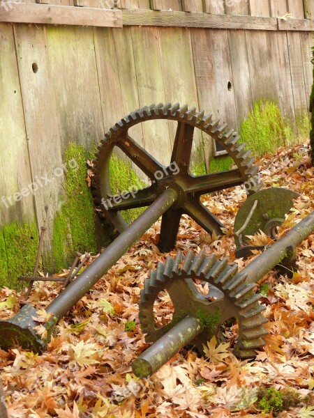 Cogs Cogwheels Leaves Foliage Weathered