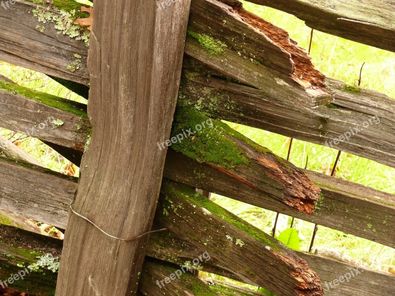 Fence Wood Old Moss California