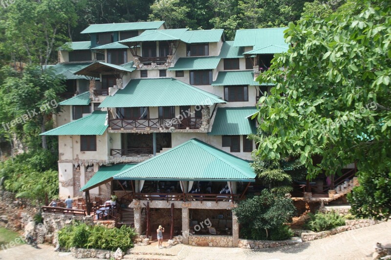 Hotel Jungle Trees Slope Nature