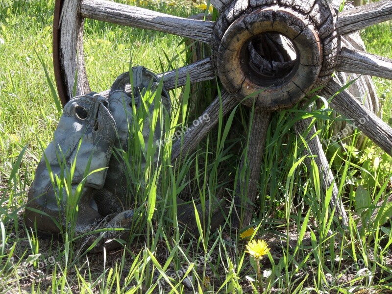 Wheel Wagon Wheel Old Spokes Wooden Wheel