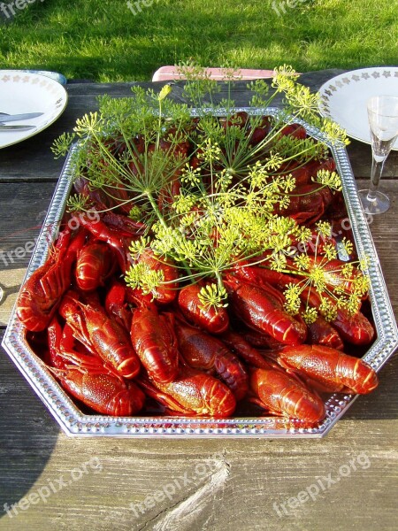 Crayfish Kalas Dill August Sweden