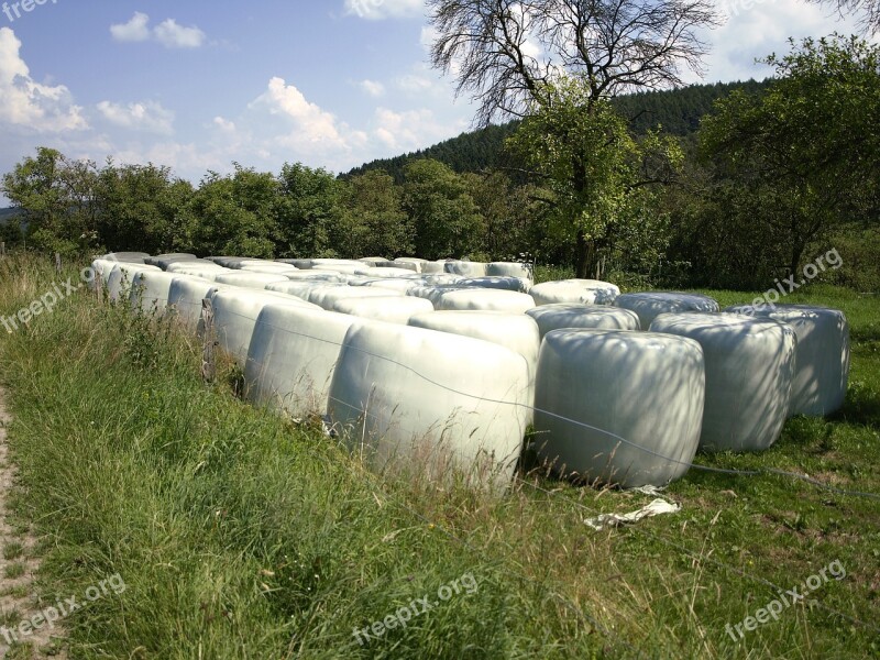 Agriculture Cattle Feed Silo Food Wrapped Up