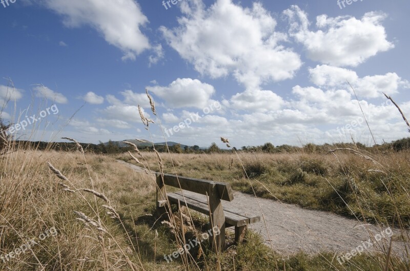 Bench Landscape Sky Nature Summer