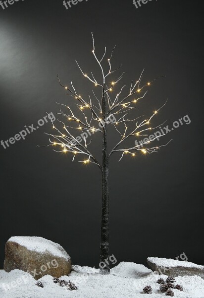 Led Lights Snow Tree Snow Tree Grafting Led Tree Led Lights Tree