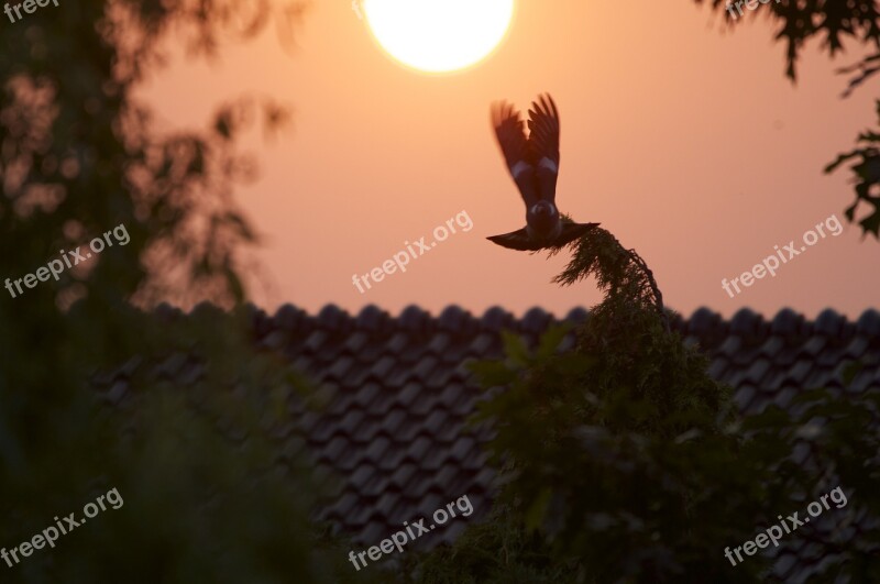 Dove Sunset Abendstimmung Rest Sun