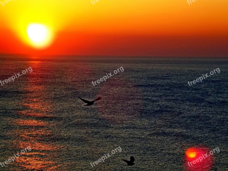 Ocean Sunrise Sea Water Nature