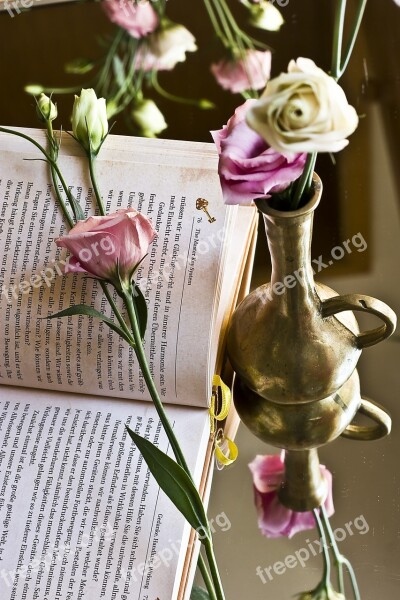 Book Rose Novel Read Pink