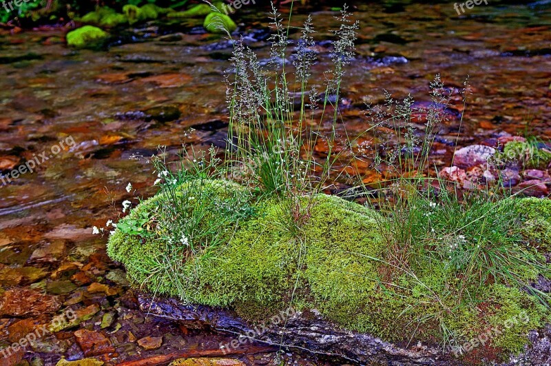 Stream Kościeliski Kościeliska Valley Tatry Western Tatras River