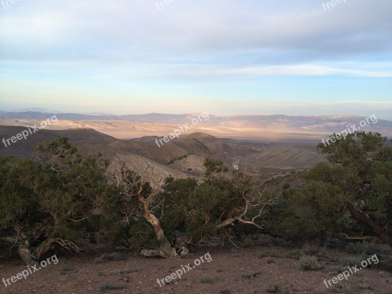 Nevada White Mountains Desert Mountains Usa