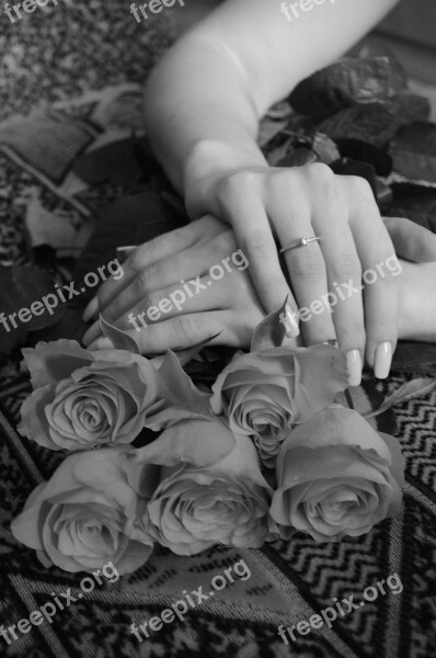 Female Hands Ring Engagement Flowers Free Photos