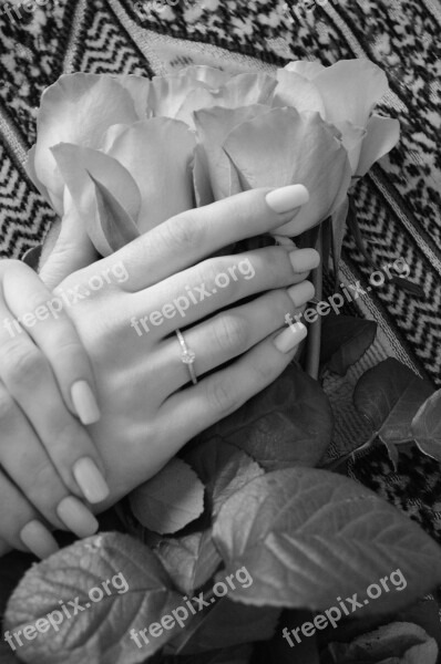 Female Hands Ring Engagement Flowers Free Photos