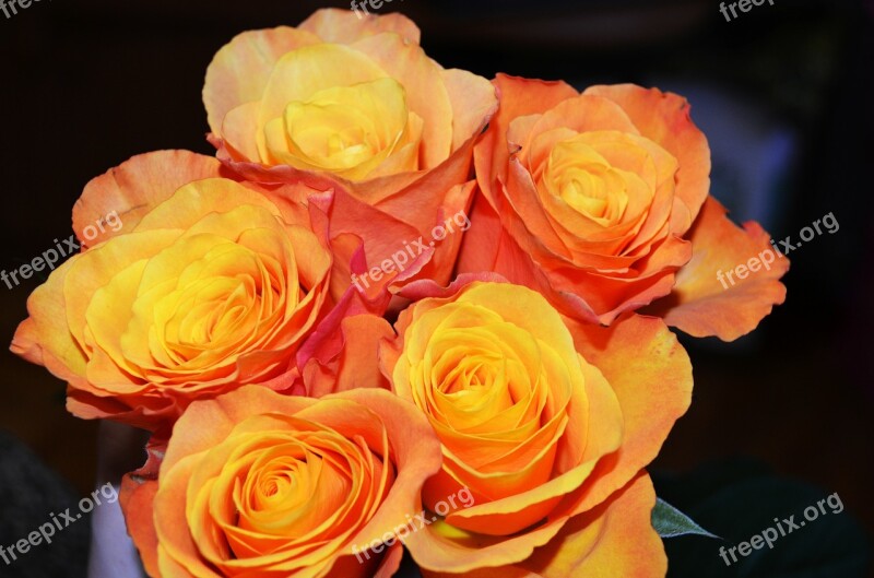 Roses Bouquet Yellow Flowers Free Photos