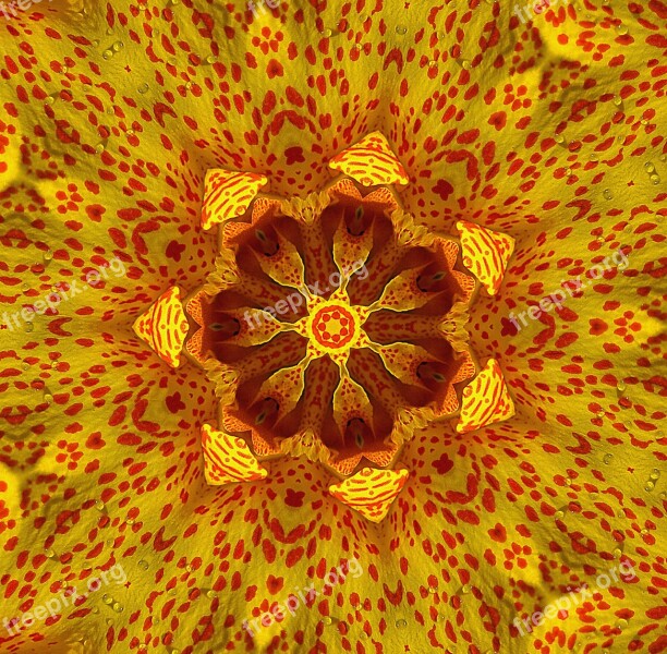 Kaleidoscope Picture Transformation Texture Form