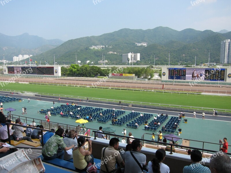 Hong Kong Horse Racing Horse Races Free Photos