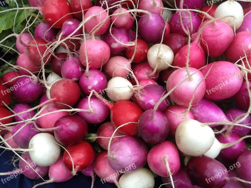 Radishes Pink Red Bunch Market