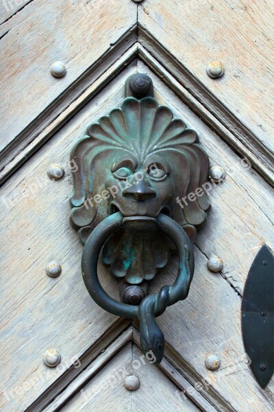 Doorknocker Bronze Metal Lion House Entrance