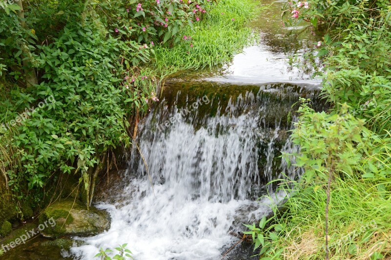 Water Bach Waters Watercourse Waterfall