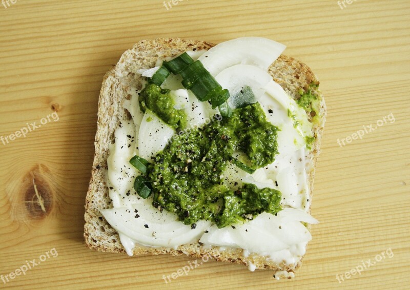 Bear's Garlic Onion Snack Sandwich Free Photos