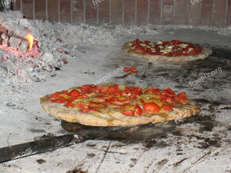 Pizza Wood Burning Oven Bake