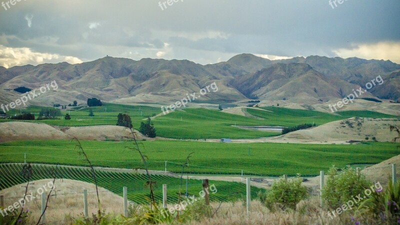 Mountain Fields Vineyards Field Landscape