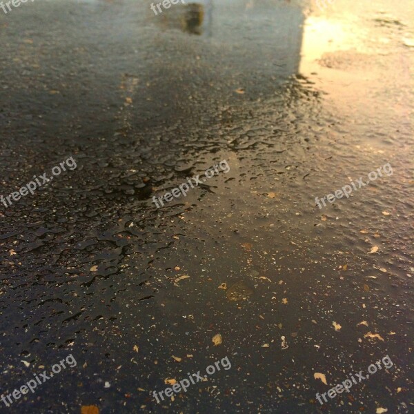 Rain Pavement Wet Sunset Weather